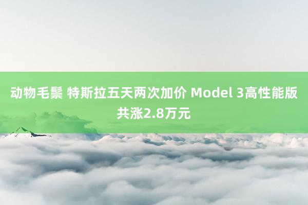 动物毛鬃 特斯拉五天两次加价 Model 3高性能版共涨2.8万元